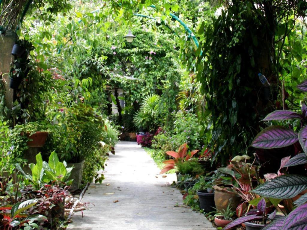 Rommai Rimnaam Resort Ranong Extérieur photo